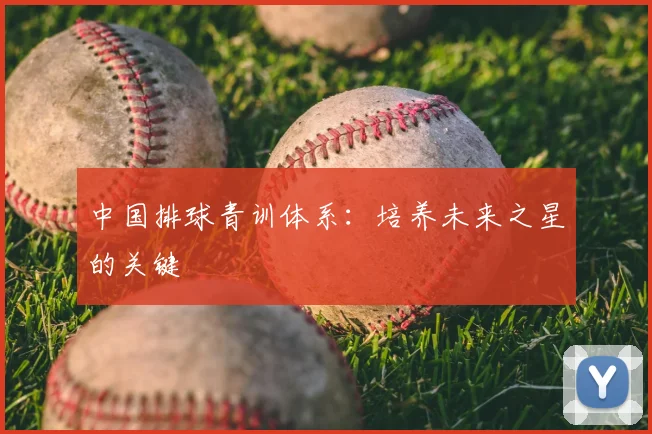 中国排球青训体系：培养未来之星的关键