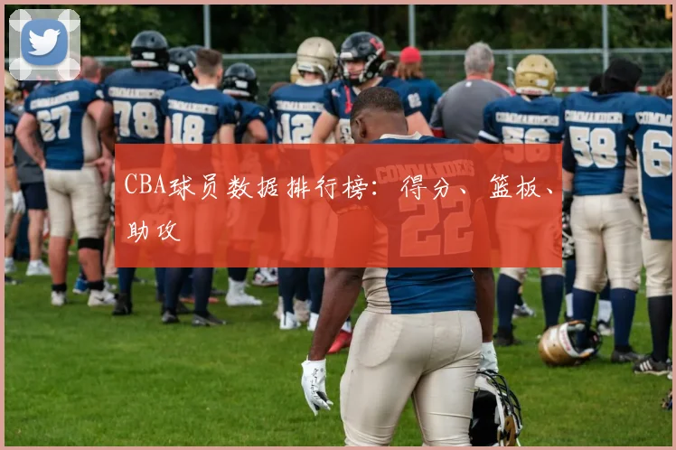 CBA球员数据排行榜：得分、篮板、助攻