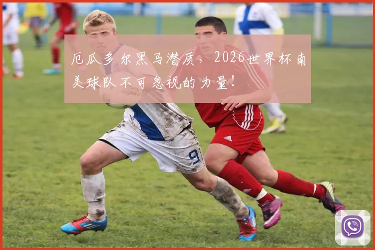 厄瓜多尔黑马潜质,2026世界杯南美球队不可忽视的力量!