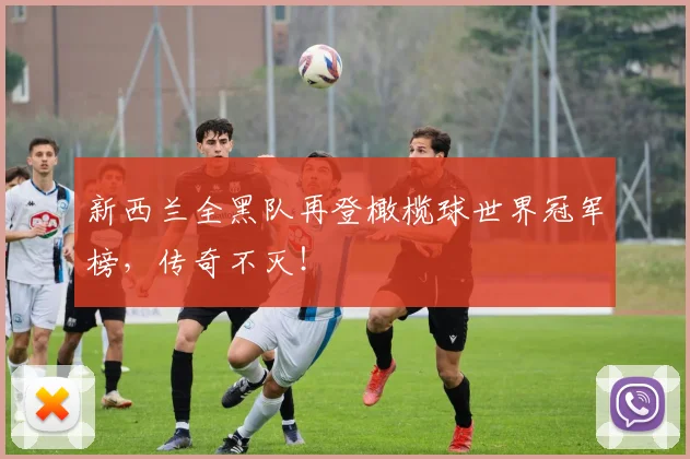 新西兰全黑队再登橄榄球世界冠军榜,传奇不灭!
