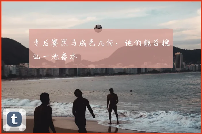 季后赛黑马成色几何，他们能否搅乱一池春水