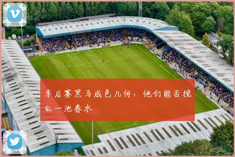 季后赛黑马成色几何，他们能否搅乱一池春水